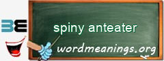 WordMeaning blackboard for spiny anteater